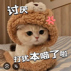 生气气的小猫咪アイコン画像