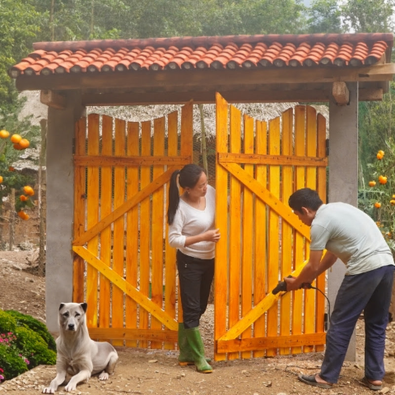life in the forest DK