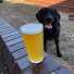 WgRdofTg4yA-channel-avatar-The Hoppy Traveller