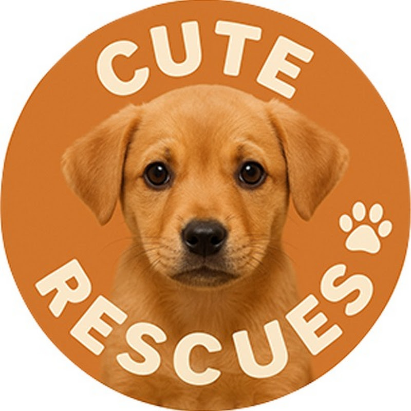 Cute Rescue