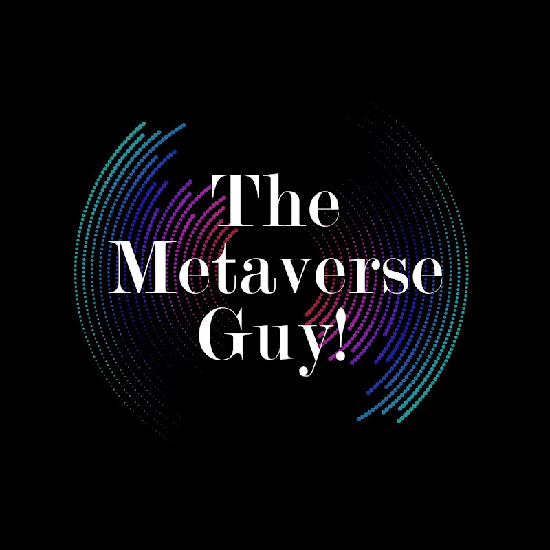 The Metaverse Guy cover art