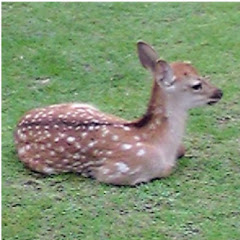 あんともケアチャンネル