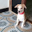 @santhosh-h9u