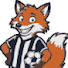 nsUGDl6zFxw-channel-avatar-FMH 