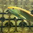 Bt11j7wOxzg-channel-avatar-7days_10RAINBOW