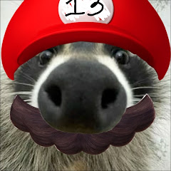 El mapache sin cerebro