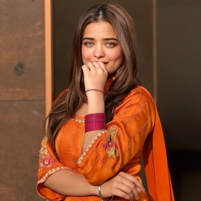 PUNJABI REEL 