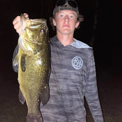 Jringbassin