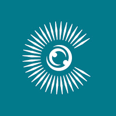 Commonwealth Foundation net worth