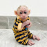 n2GUkLRrYHM-channel-avatar-Monkey Junbi