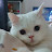 @로꼬-j3s