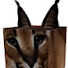 -HCr3kjaw3A-channel-avatar-MUSKHAGAMES