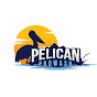 Pelican Prowash logo