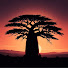 Of8LPyx-B5M-channel-avatar-Contes du Continent Noir