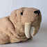 SbqcZ_JR8OA-channel-avatar-Aqua Walrus