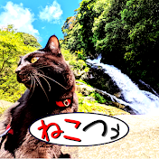 ねこツーリズム