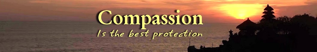 TeamOfCompassion YouTube channel avatar