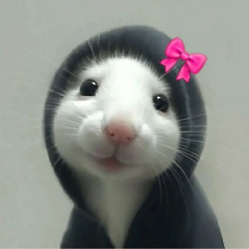 Mibby