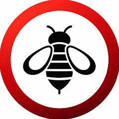 Channel thumbnail for Bee Film Reviews