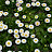 @user-dn5rp6oi9y