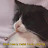 @Dead_Sleep's avatar