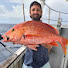 VFIvdvDm-L8-channel-avatar-Maxime le Pêcheur 