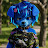 @BlueDogAudits