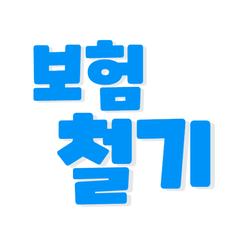 보험철기