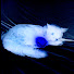 3tNWWl7_NsI-channel-avatar-endroxia