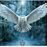 cyxpkjjXodQ-channel-avatar-Noctua Witch