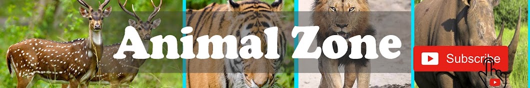 Animal Zone YouTube 频道头像