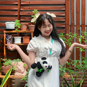 ThiPanda Gaming
