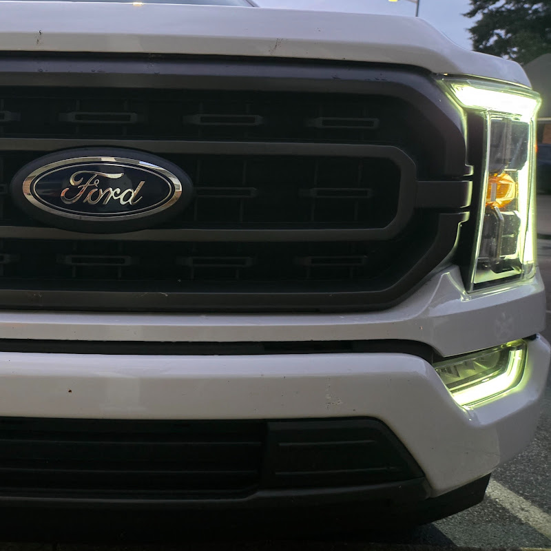 Bearded Ford Tech