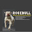 Rosebull Kennel American Bulldogs