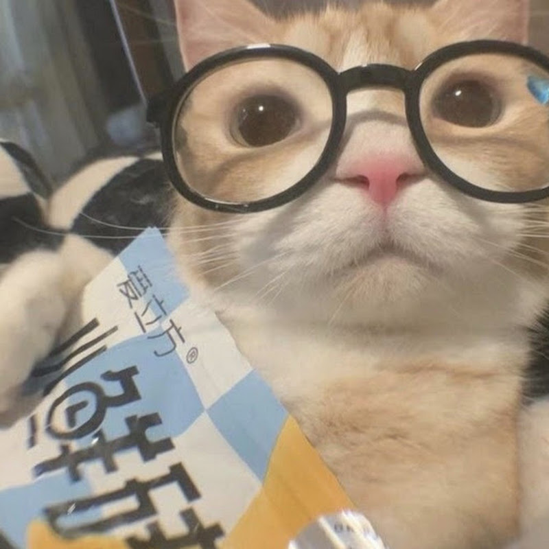 설하 플로우