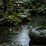 piunqgdLNm4-channel-avatar-Bamboo Water Meditations