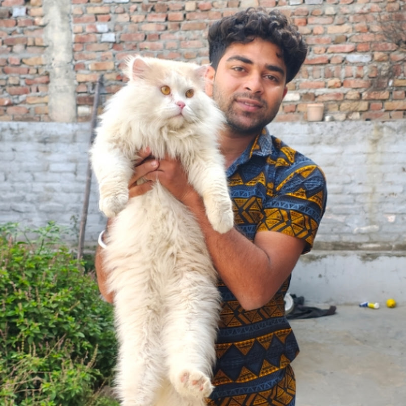 Saksham talwar vlogs 