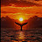 @DONA123-f8y
