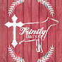 Trinity Dairy logo