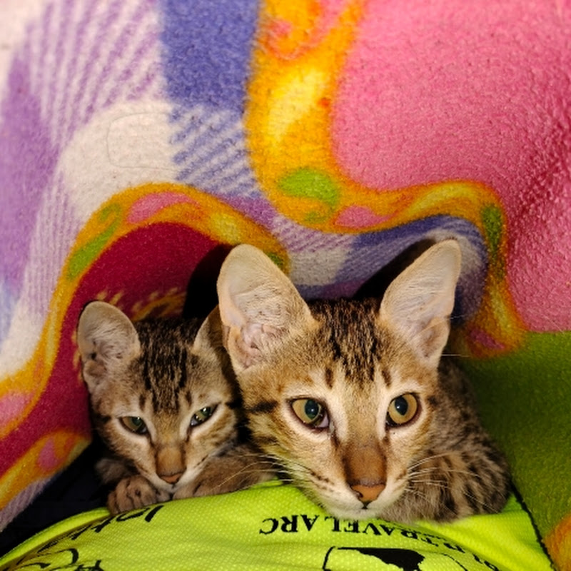 @adventure life with nature