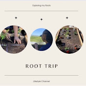 Root Trip | Seeds of Judah