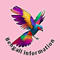 Bengali information logo