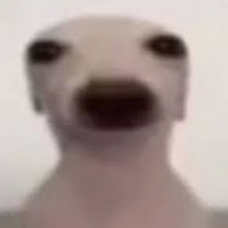 V1rtualGames