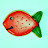 strawberry fish