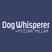Dog Whisperer