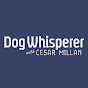 Dog Whisperer