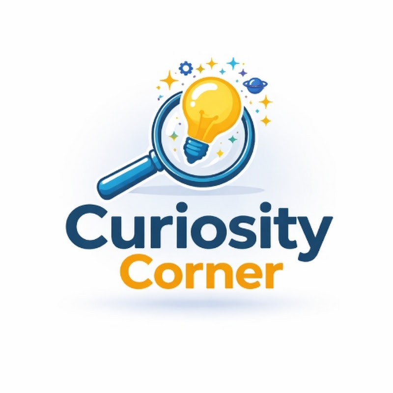 Curiosity Corner