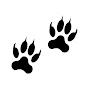 Draws With Paws logo