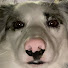 XBzILtcm4wY-channel-avatar-AdeftTV