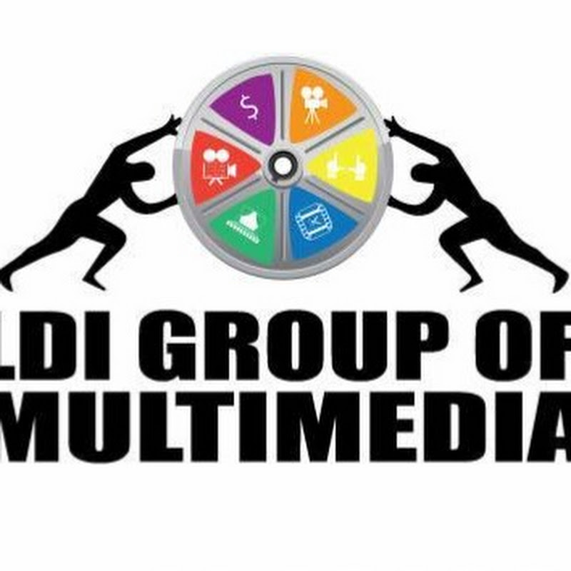 LDi Multimedia Group 